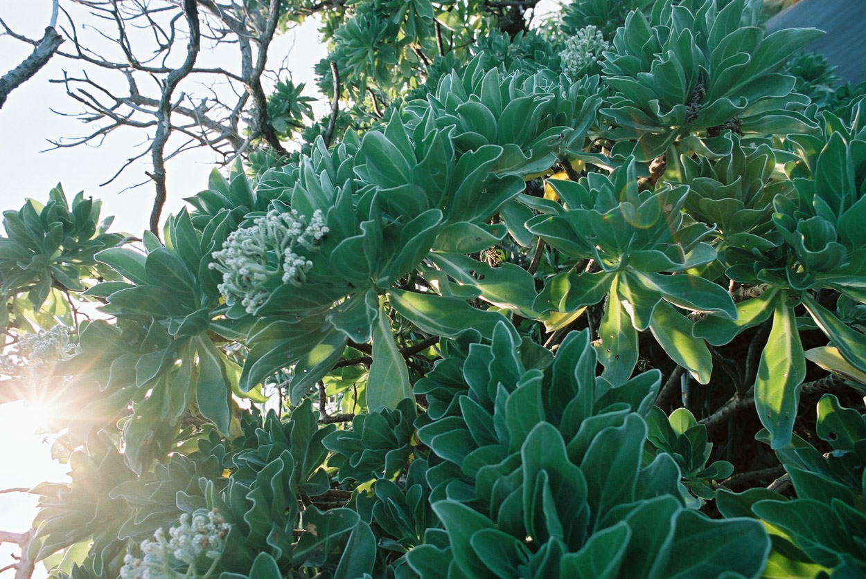 うちに帰ろう_01